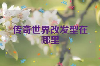 传奇世界改发型在哪里