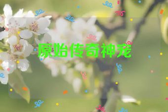 原始传奇神宠