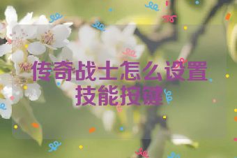 传奇战士怎么设置技能按键
