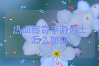 热血传奇手游道士怎么加血