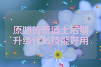 原始传奇道士后期升级什么技能好用