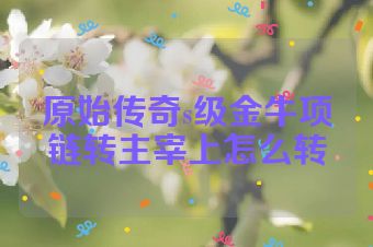 原始传奇s级金牛项链转主宰上怎么转