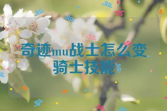 奇迹mu战士怎么变骑士技能