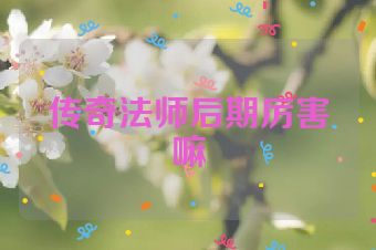 传奇法师后期厉害嘛