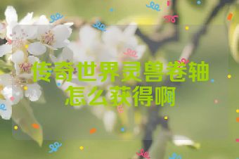 传奇世界灵兽卷轴怎么获得啊