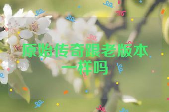 原始传奇跟老版本一样吗