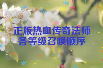 正版热血传奇法师各等级召唤顺序
