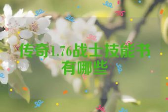 传奇1.76战士技能书有哪些
