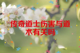 传奇道士伤害与道术有关吗