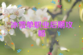 冰雪单职业后期攻略