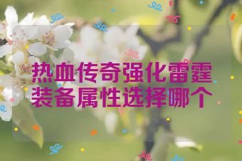 热血传奇强化雷霆装备属性选择哪个