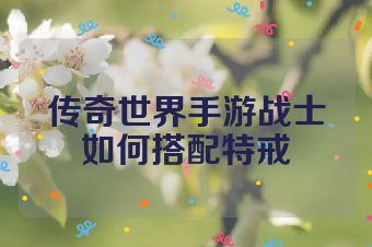 传奇世界手游战士如何搭配特戒