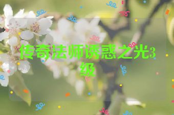 传奇法师诱惑之光3级