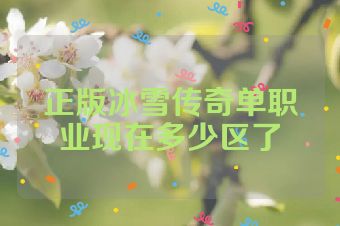 正版冰雪传奇单职业现在多少区了