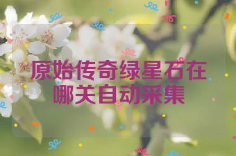 原始传奇绿星石在哪关自动采集