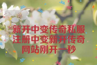 新开中变传奇私服注册中变新开传奇网站刚开一秒