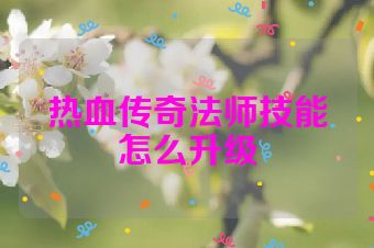 热血传奇法师技能怎么升级