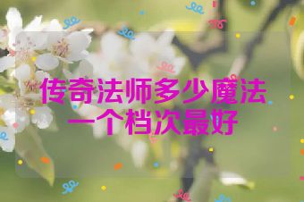 传奇法师多少魔法一个档次最好