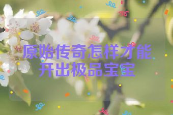 原始传奇怎样才能开出极品宝宝