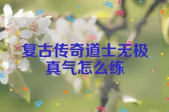 复古传奇道士无极真气怎么练