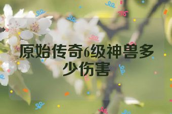 原始传奇6级神兽多少伤害