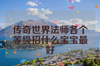 传奇世界法师各个等级招什么宝宝最好