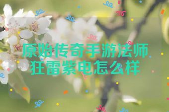 原始传奇手游法师狂雷紫电怎么样