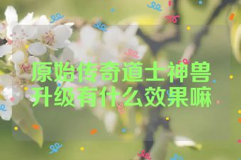 原始传奇道士神兽升级有什么效果嘛