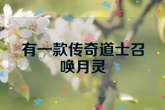 有一款传奇道士召唤月灵