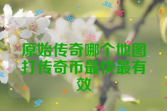 原始传奇哪个地图打传奇币最快最有效