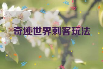 奇迹世界刺客玩法