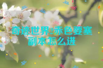 奇迹世界2赤色要塞副本怎么进