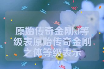 原始传奇金刚xl等级表原始传奇金刚之体等级表示