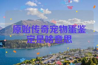 原始传奇宠物蛋鉴定是啥意思