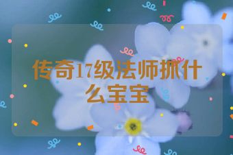 传奇17级法师抓什么宝宝