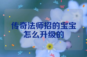 传奇法师招的宝宝怎么升级的