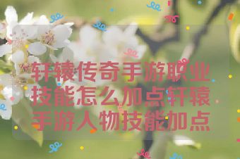 轩辕传奇手游职业技能怎么加点轩辕手游人物技能加点