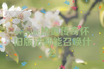 wegame热血传奇怀旧版法师能召唤什么