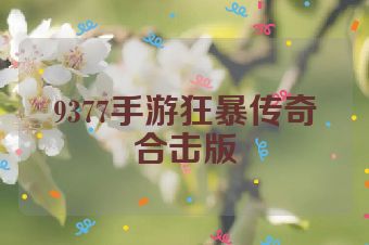 9377手游狂暴传奇合击版