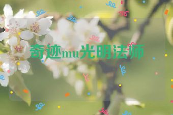 奇迹mu光明法师