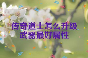 传奇道士怎么升级武器最好属性