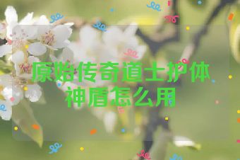 原始传奇道士护体神盾怎么用