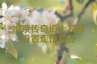 维京传奇道士怎样设置走位最好