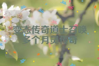 变态传奇道士召唤多个月灵传奇