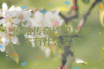 原始传奇沙巴克城主有什么奖励