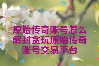原始传奇账号怎么解封贪玩原始传奇账号交易平台