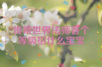 传奇世界法师各个等级招什么宝宝