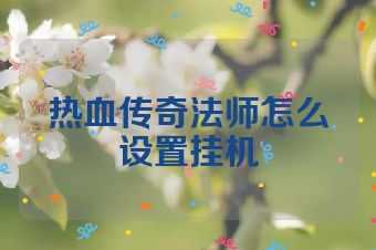 热血传奇法师怎么设置挂机