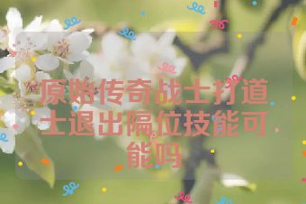 原始传奇战士打道士退出隔位技能可能吗