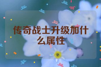 传奇战士升级加什么属性